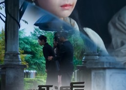 短剧《我死遁后，全员后悔了（30集）》热播短剧免费观全