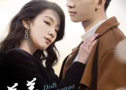 短剧《弟弟不要闹（43集）》短剧在线免费全集赏