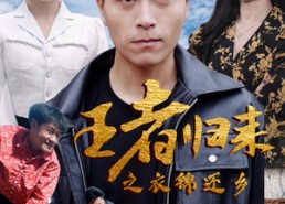 短剧《王者归来之衣锦还乡（87集）》热门短剧高清全集在线