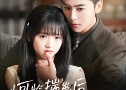 短剧《小可怜揣崽后被霍爷宠上天（83集）》超火短剧在线免费享