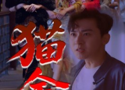 短剧《猫舍（34集）》热门短剧免费全集畅享