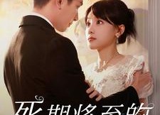 短剧《死期将至的华丽复仇（100集）》热门短剧全集免费观