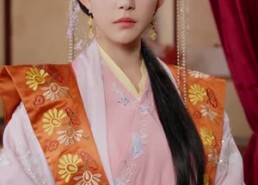 短剧《顶罪王妃她掀桌了（90集）》超长短剧免费全集观看