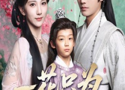 短剧《一花只为一树开（54集）》免费短剧全集流畅播放