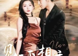 短剧《见面不如相恋（71集）》精彩短剧在线免费追