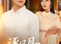 短剧《逐风月寻他（71集）》长篇短剧免费完整观看