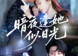 短剧《暗夜逢她似日光（72集）》热门短剧全集免费看