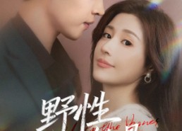 短剧《野性蚀骨（86集）》超燃短剧全集免费看