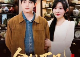 短剧《金仙下凡从治好病妻开始（75集）》短剧全集免费畅快赏