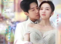 短剧《玫瑰再开时（59集）》短剧全集免费随心看