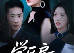 短剧《学区房的风波（45集）》免费短剧完整高清播放