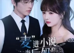 短剧《麦进小说当后妈（5集）》短剧免费全集在线赏