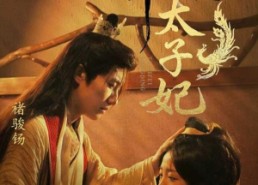 短剧《命定太子妃（63集）》短剧全集高清免费观