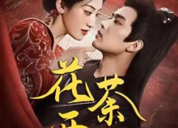 短剧《花开荼蘼（88集）》短剧无广告免费全集看