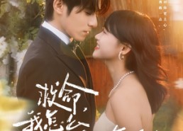 短剧《周总，夫人她不按套路出牌（82集）》优质短剧免费全集欣赏