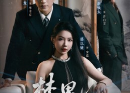 短剧《禁果效应（57集）》短剧免费全集高清直看