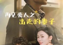 短剧《再见爱人之出走的妻子（85集）》短剧免费在线全集览
