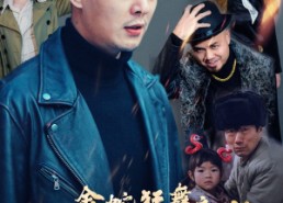 短剧《金蛇狂舞之天下无贼（52集）》精彩短剧在线畅快观