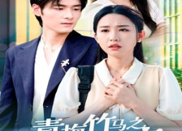 短剧《青梅竹马之爱有天意（68集）》精彩短剧全集免费播