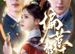 短剧《偏惹枭雄（82集）》精彩短剧全集免费在线观