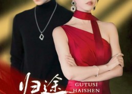 短剧《归途似海深（61集）》精彩短剧免费高清在线播