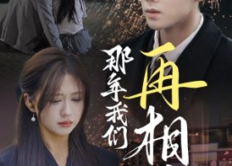 短剧《那年我们再相逢（65集）》热门短剧全集在线览