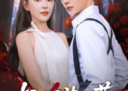 短剧《轻烟染日暮（71集）》短剧全集免费在线播