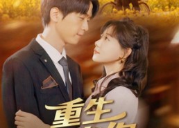 短剧《重生拥抱你（80集）》短剧免费看完整全集