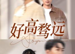 短剧《好高骛远（50集）》优质短剧在线免费追