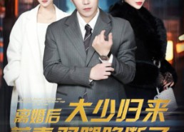 短剧《离婚后大少归来前妻双腿跪断了（67集）》短剧全集高清在线赏