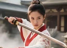 短剧《岳家女将（20集）》短剧免费全集在线观映