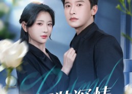 短剧《假装深情（60集）》短剧完整高清在线赏