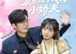 短剧《下错蛊后，裴总成了我的小娇夫（62集）》精彩短剧免费全集览