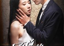 短剧《顾总的隐婚悲妻（102集）》短剧全集免费在线高清播