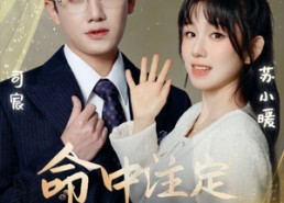 短剧《命中注定遇见你（96集）》短剧免费高清全集观看