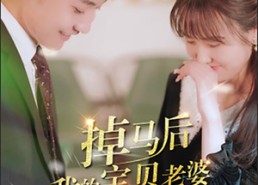 短剧《掉马后我的宝贝老婆惊呆了（100集）》优质短剧在线免费览