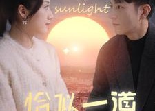 短剧《恰似一道暖阳光（85集）》热门短剧全集免费看