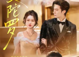 短剧《曼陀罗（85集）》热门短剧全集免费看