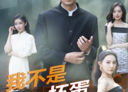 短剧《我不是坏蛋（84集）》短剧免费在线看全集