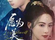 短剧《愿为美人奴（75集）》在线短剧免费看全集
