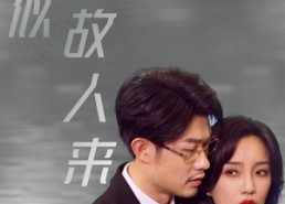 短剧《恰似故人来（79集）》免费短剧高清在线观赏