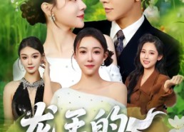 短剧《龙王的种田生活（82集）》短剧全集免费畅享观看