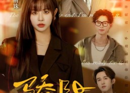 短剧《骄阳（82集）》免费短剧在线高清观看