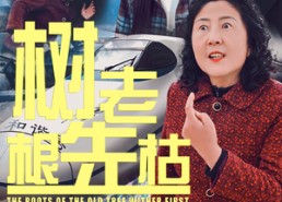 短剧《树老根先枯（33集）》免费短剧全集尽情赏