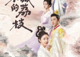 短剧《京城的荔枝（74集）》精彩短剧无广告在线看