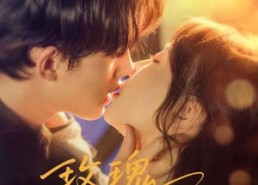 短剧《玫瑰藏于心间（60集）》优质短剧在线免费观