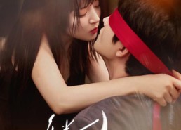 短剧《月光下的重逢（54集）》超清短剧免费在线追