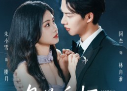 短剧《月落舟怀（46集）》短剧免费全集高清品鉴