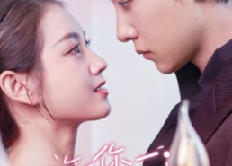 短剧《许你一场悲欢（54集）》免费短剧全集一键观看