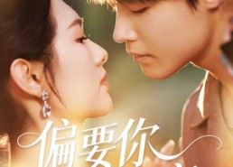 短剧《偏要你的情衷（62集）》短剧免费在线全集览